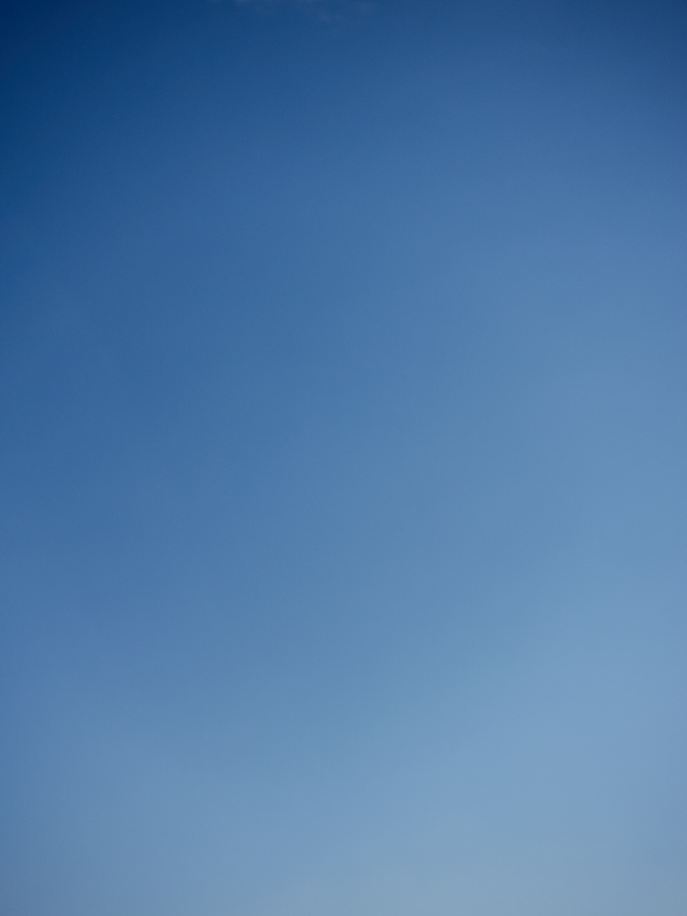 19 05-12%20Blue%20%21%20I%20was%20waiting%20for%20you%20%21%201