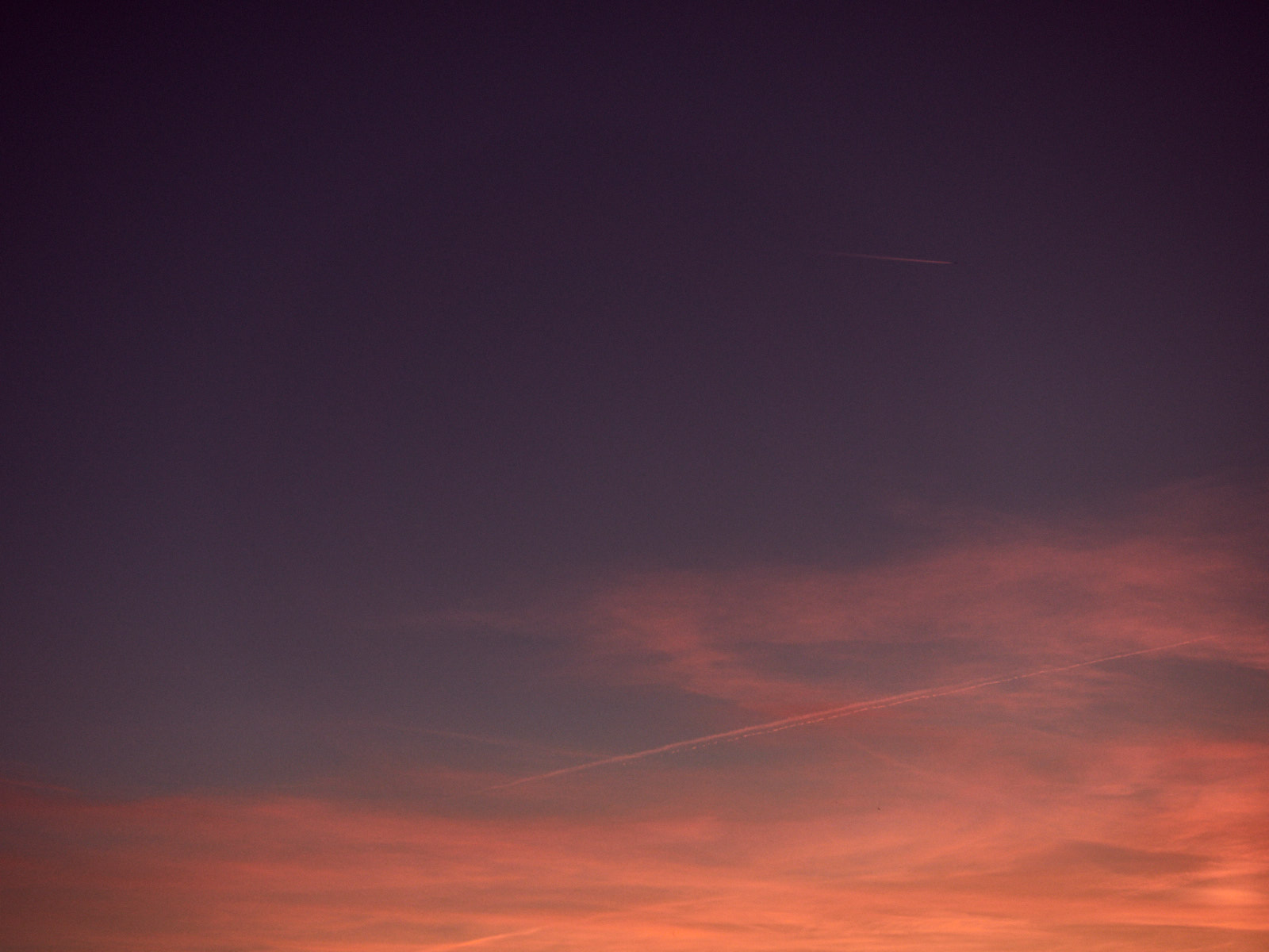 19 05-13%20And%20pink.%20And%20purple%20too.