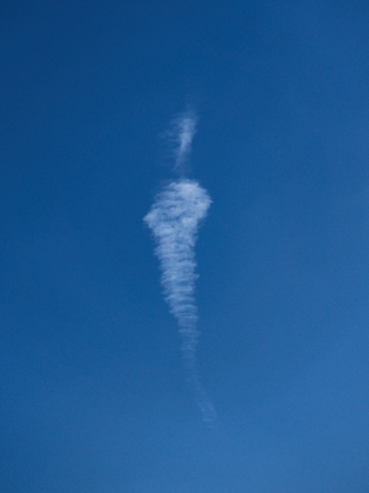 19 05-14%20La%20carotte%20%21