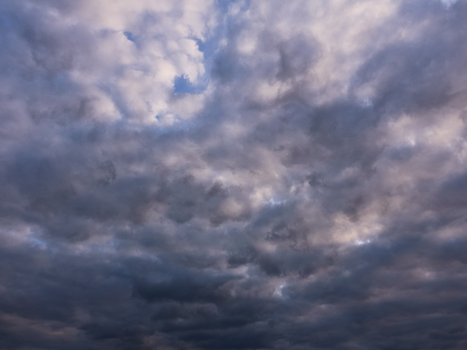 19 05-16%20balles%20de%20cotton