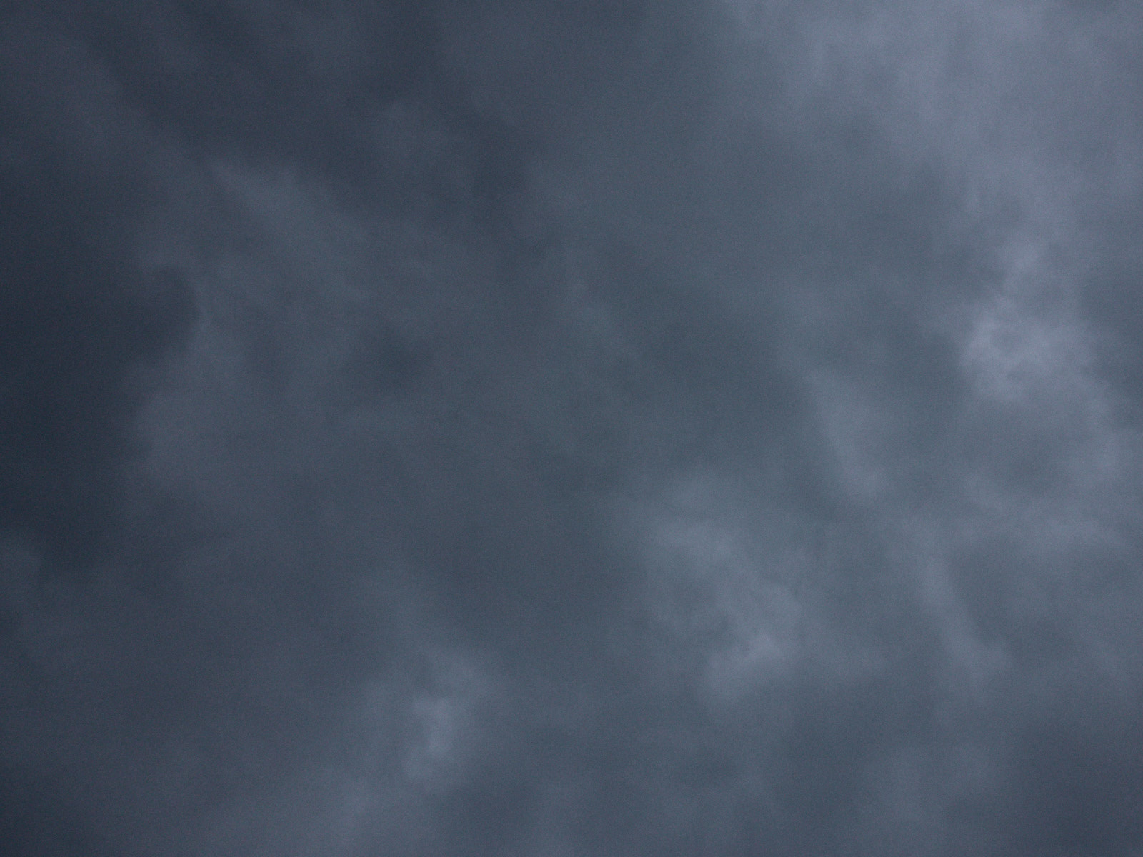 19 05-19%2050%20nuances%20de%20gris