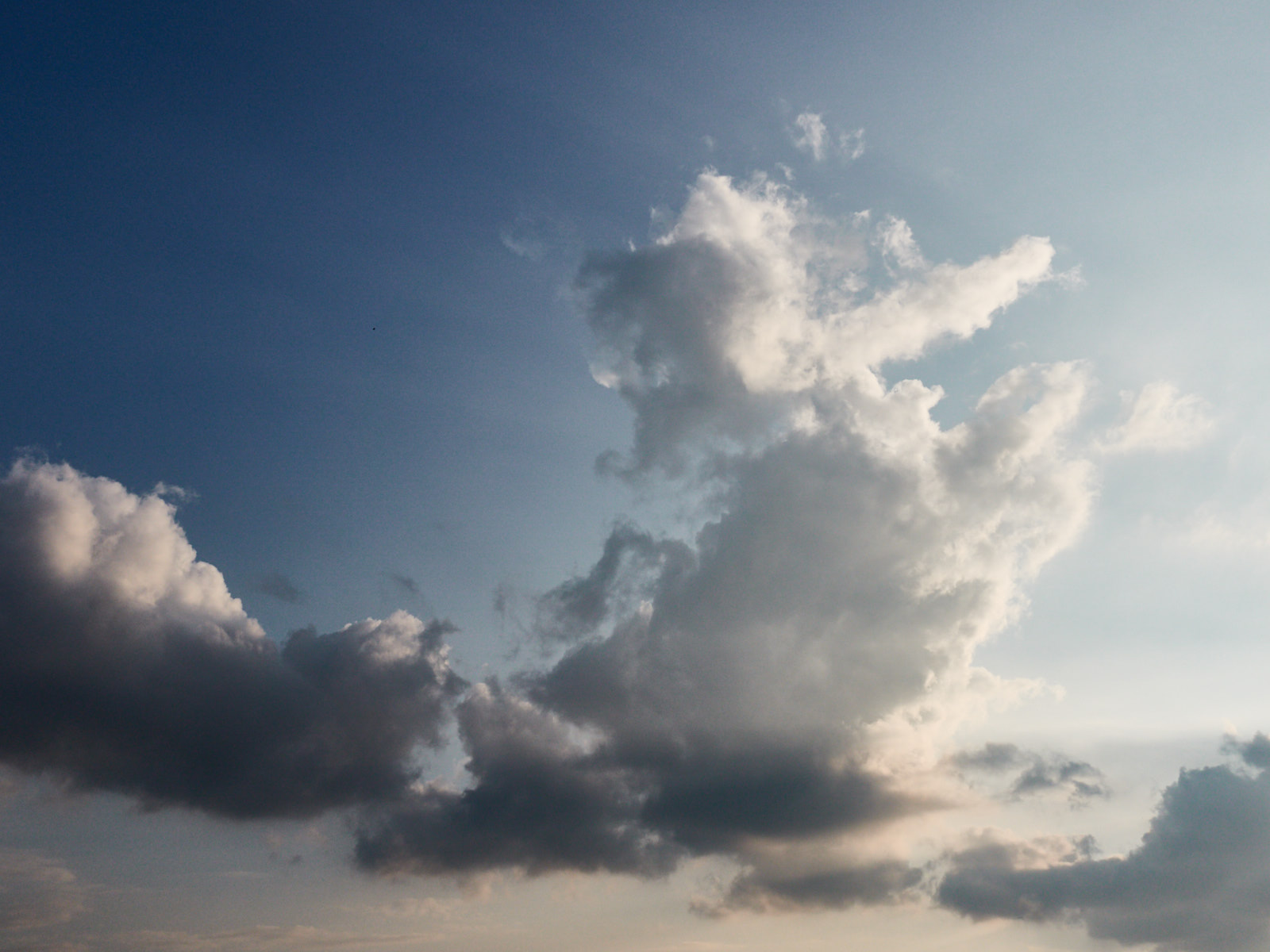 19 05-20%20Le%20retour%20du%20lapin