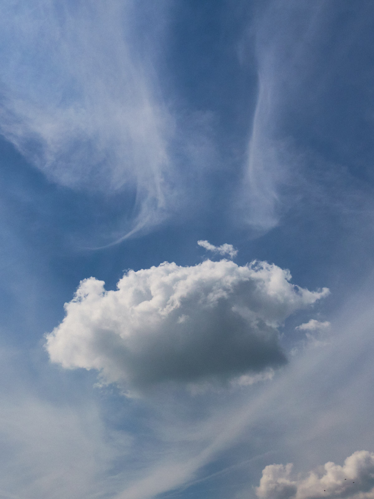 19 05-22%20-%20Un%20Banh%20bao%20volant%20%21