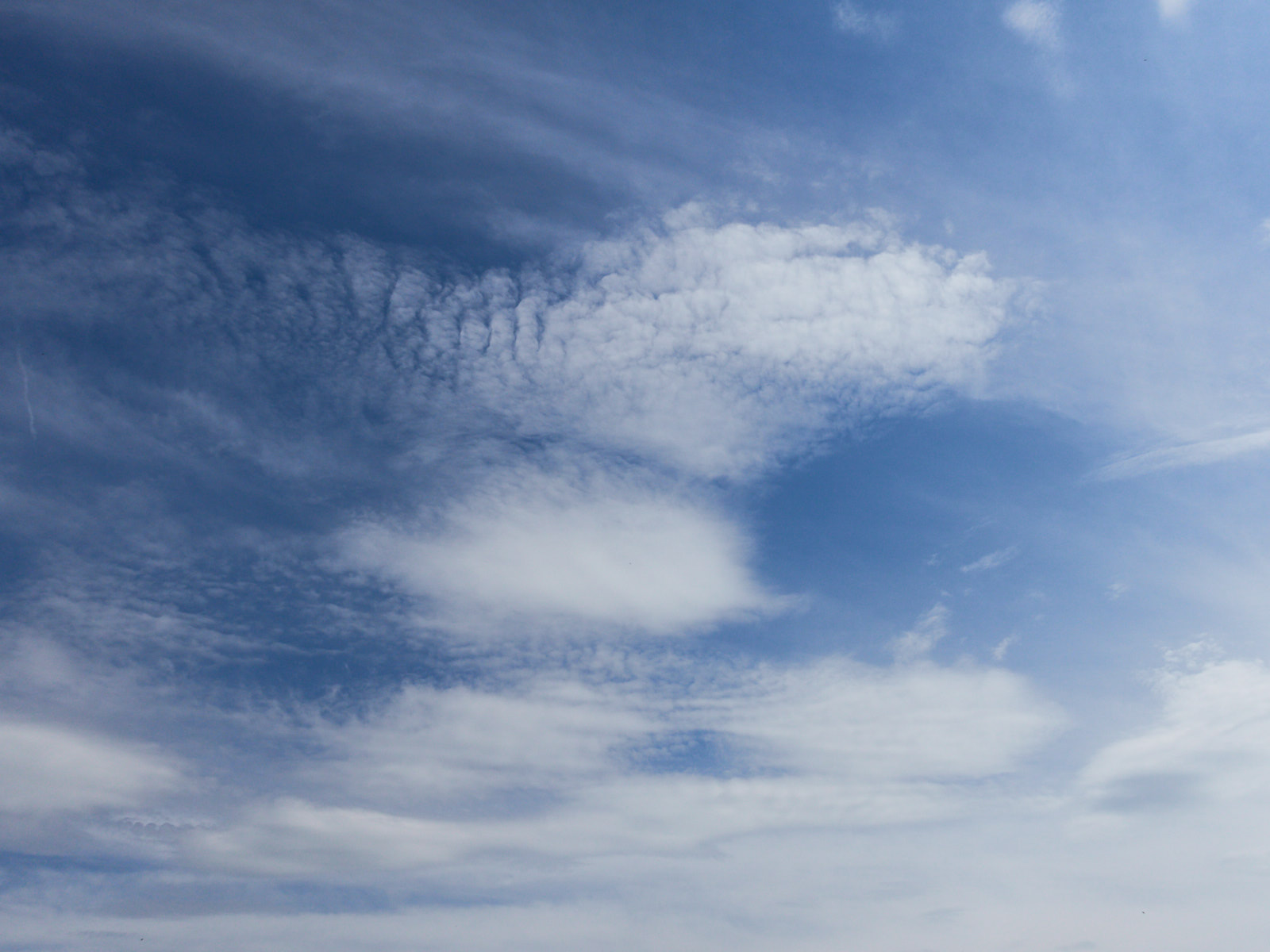 19 05-24I%20feel%20lazy%20today