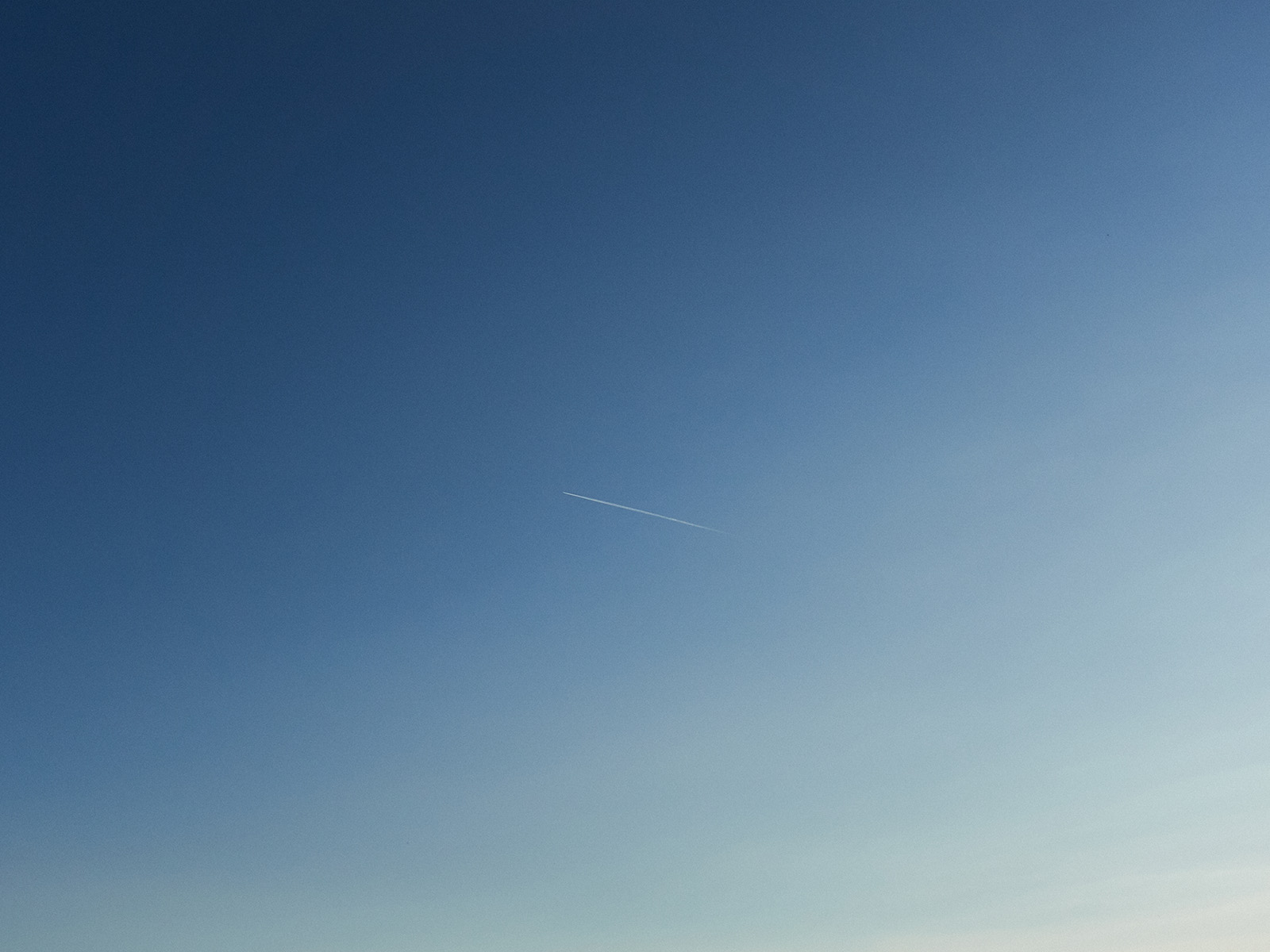 19 05-26%20-%20zooom