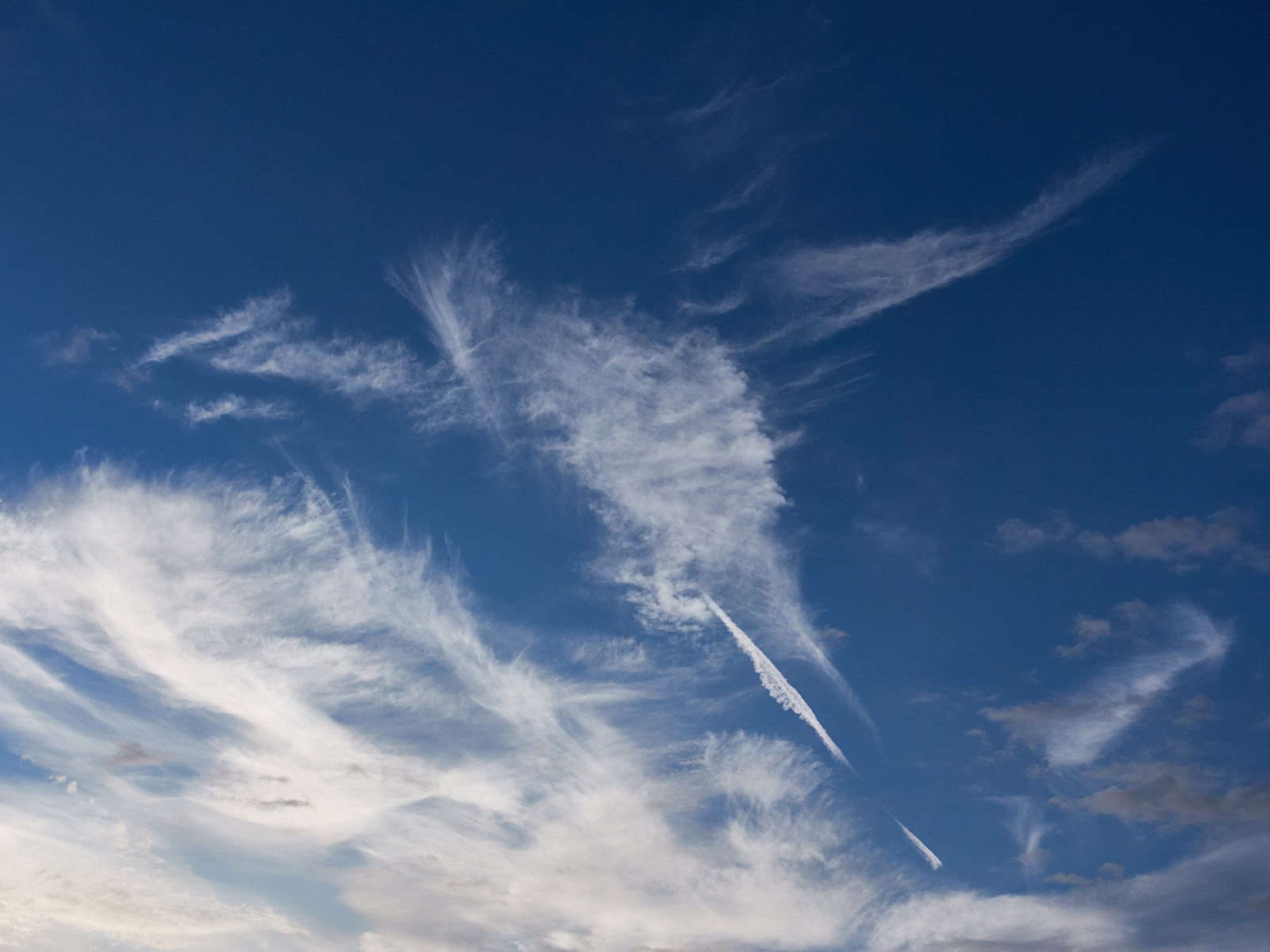 19 05-27%20-%20phoenix