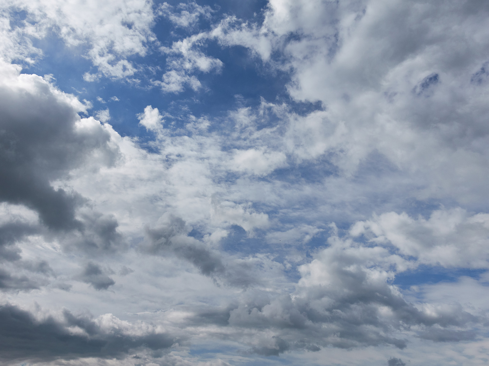 19 05-28%20-%20Ciel%20hesitant