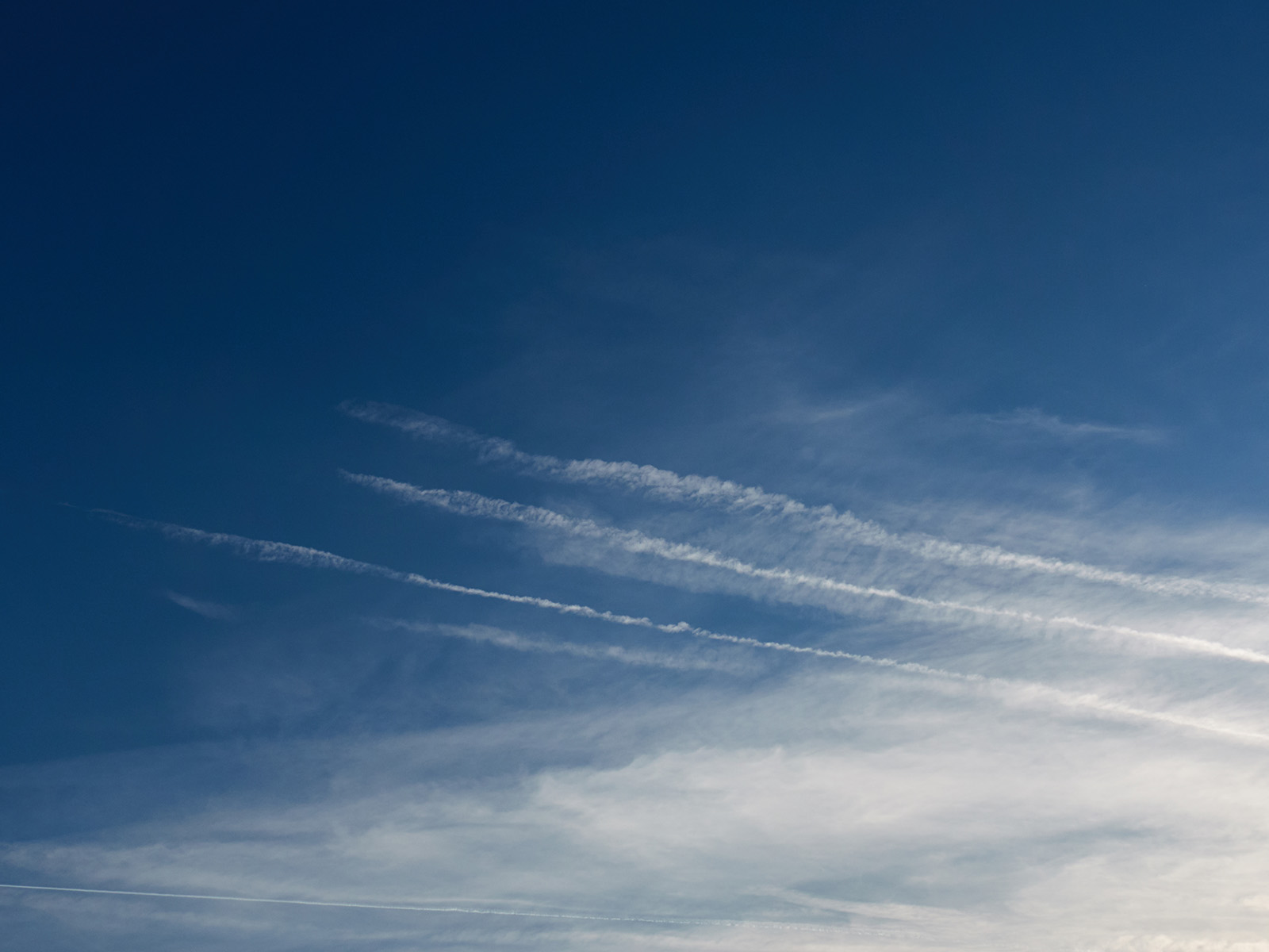 19 06-01%20-%20Les%20griffes