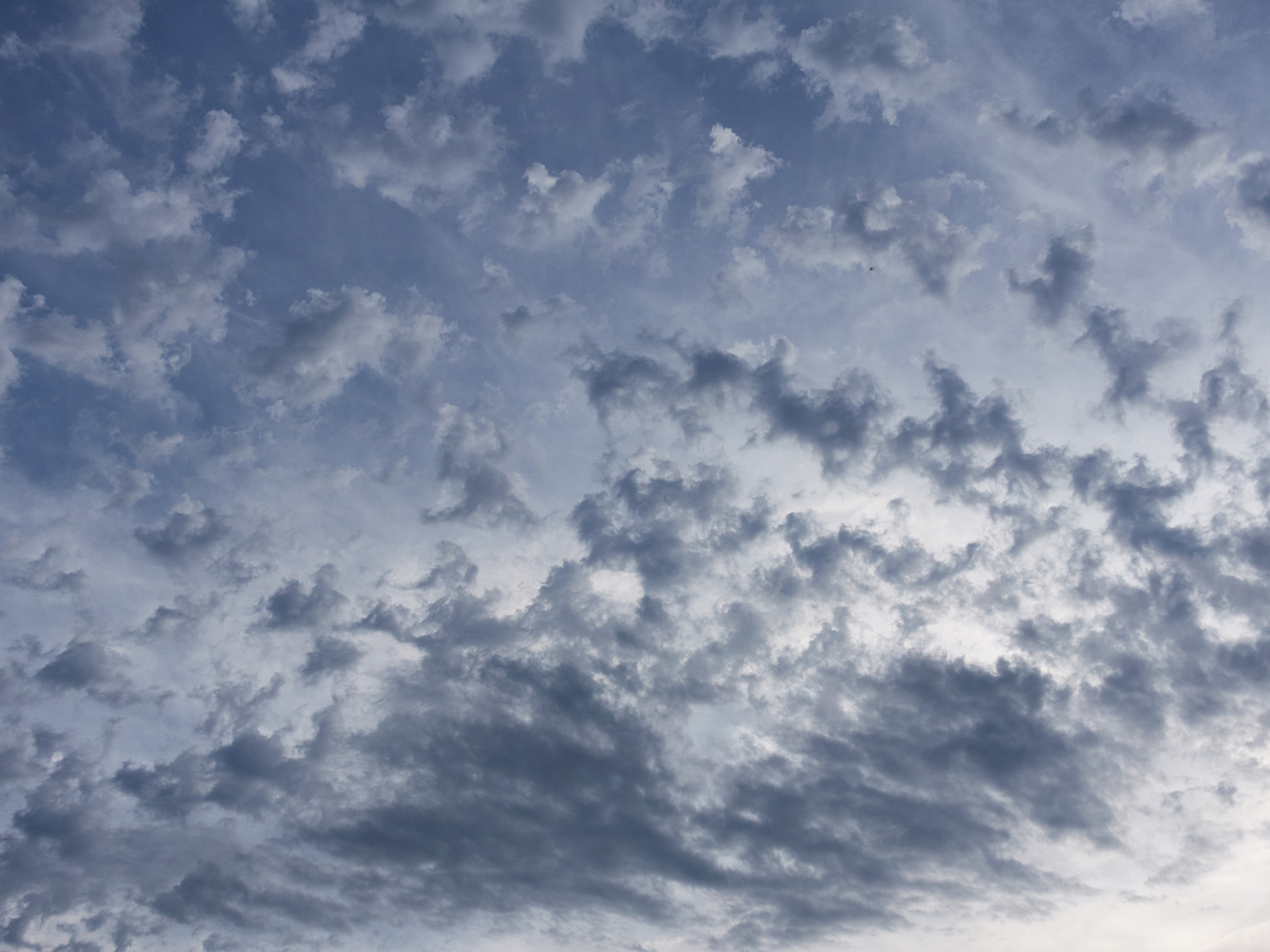 19 06-02%20-%20L%27envol