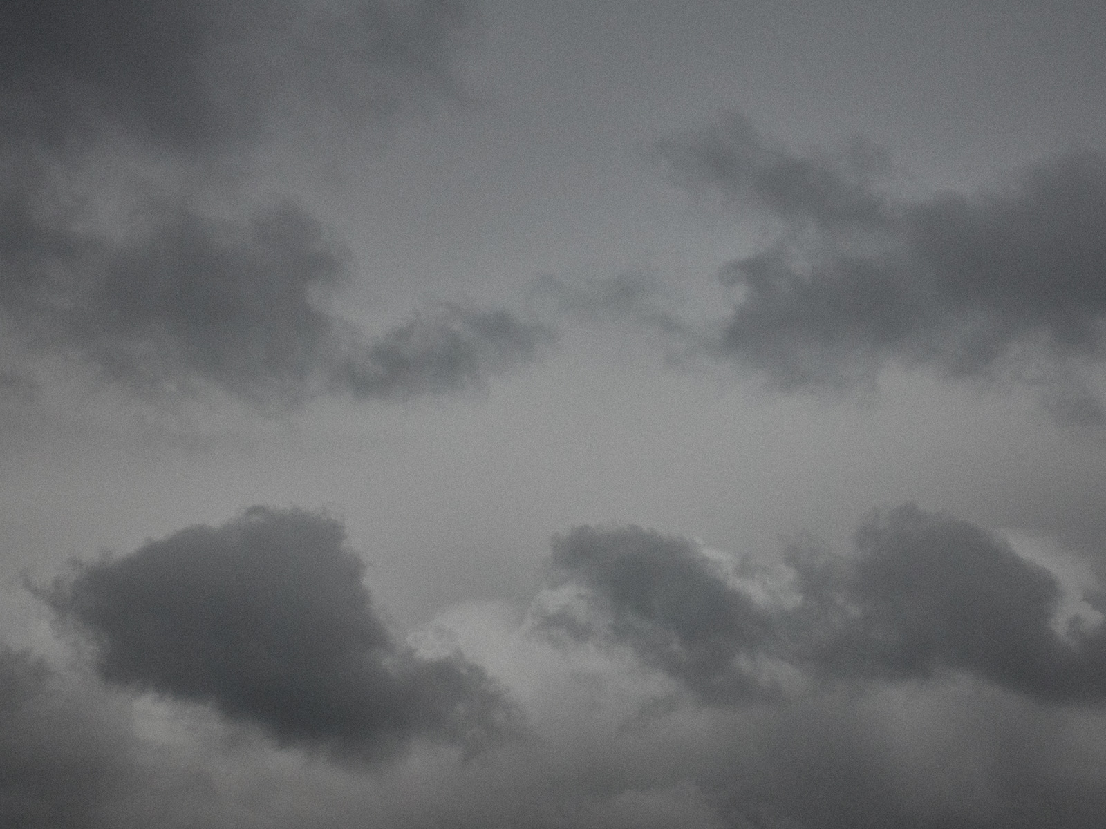 19 06-05%20-%20La%20belle%20journee%20de%20printemps