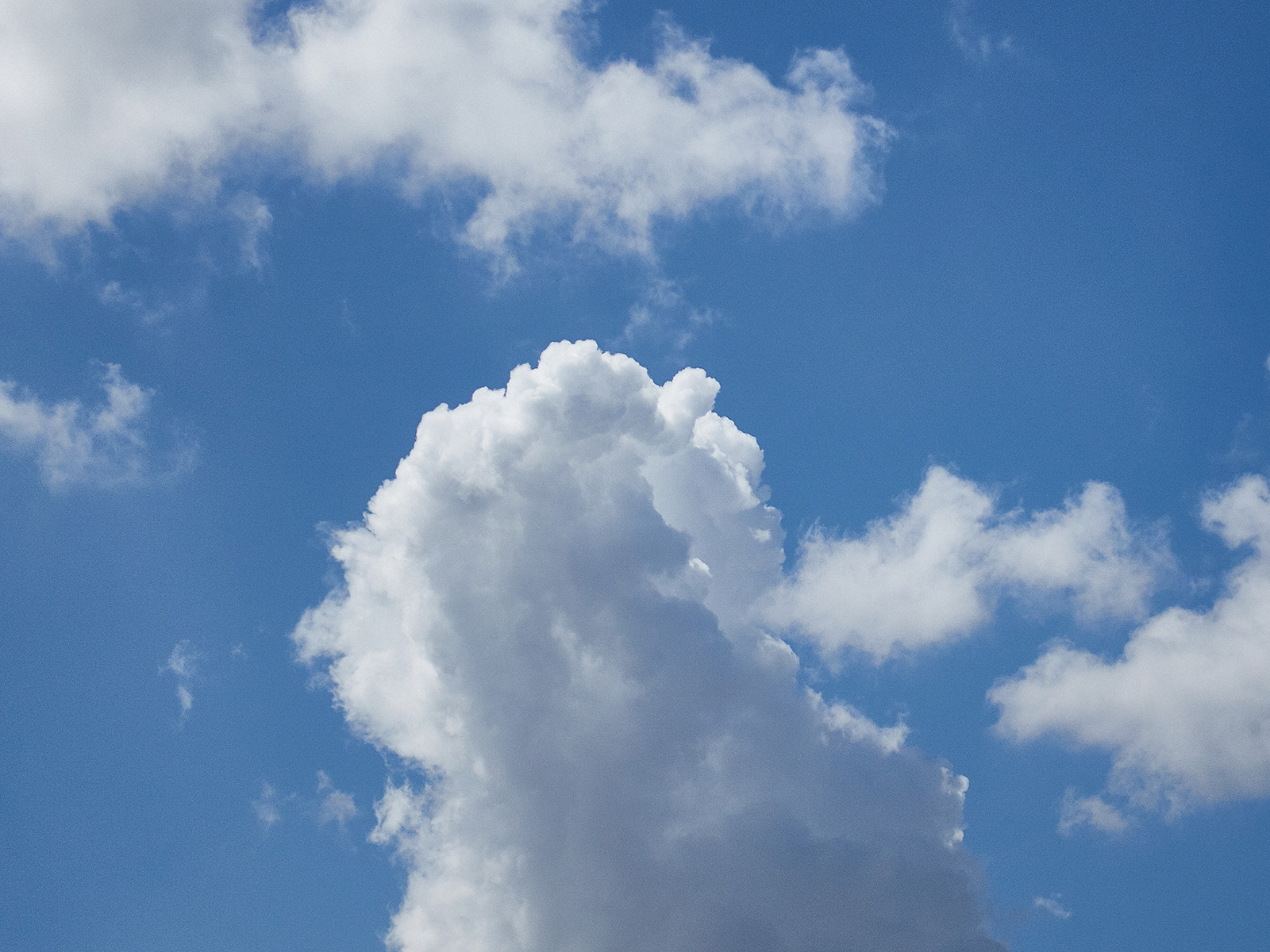 19 06-06%20-%20Cucumulus