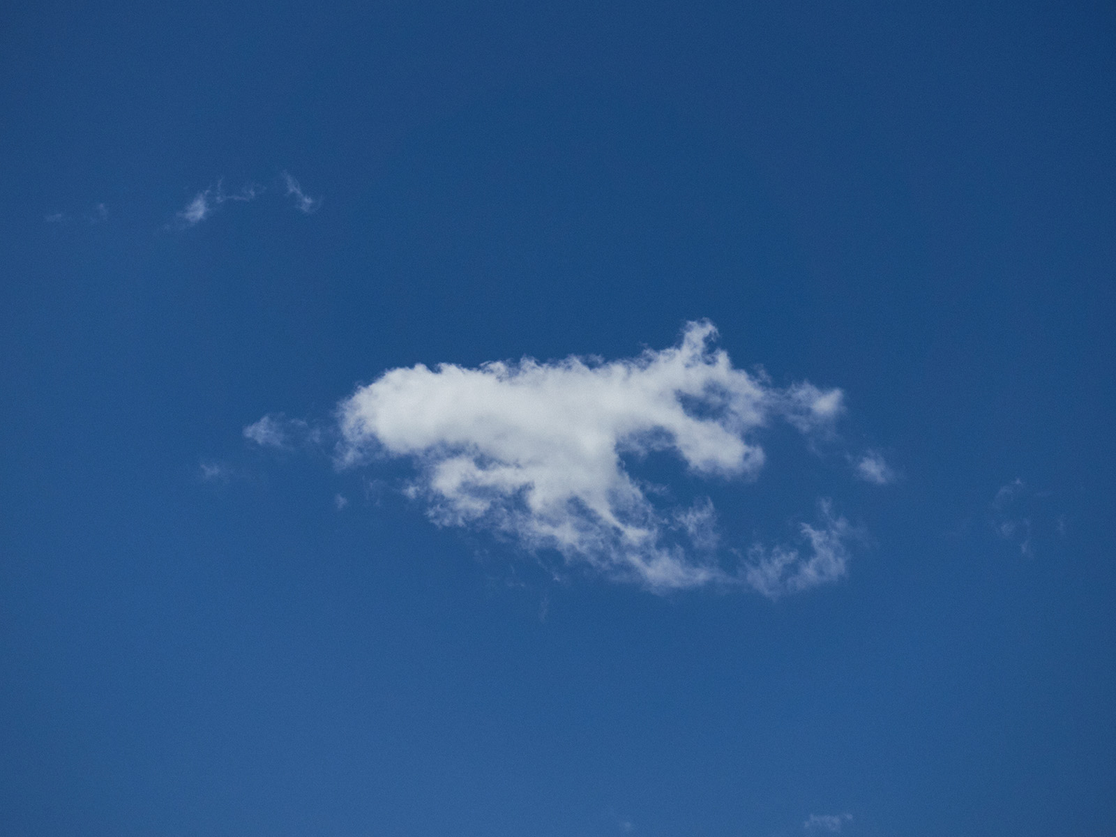 19 06-12%20-%20Que%20voit%20on