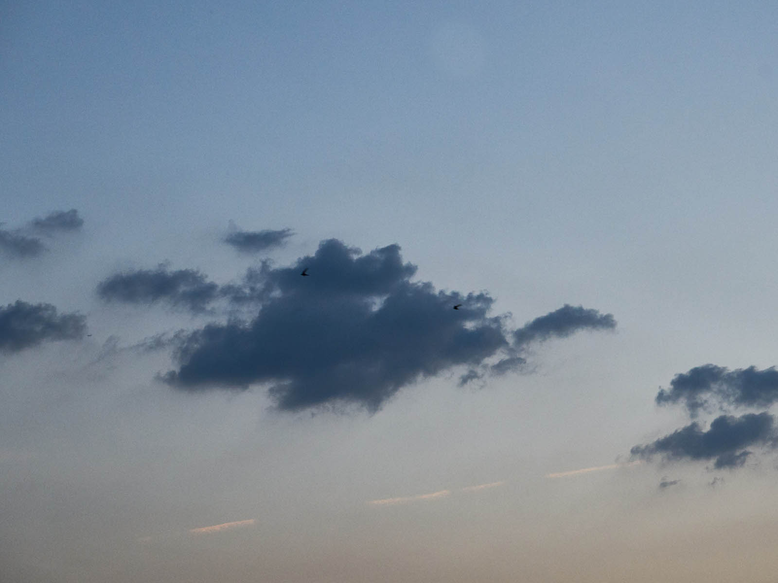 19 06-13%20-%20Grigri