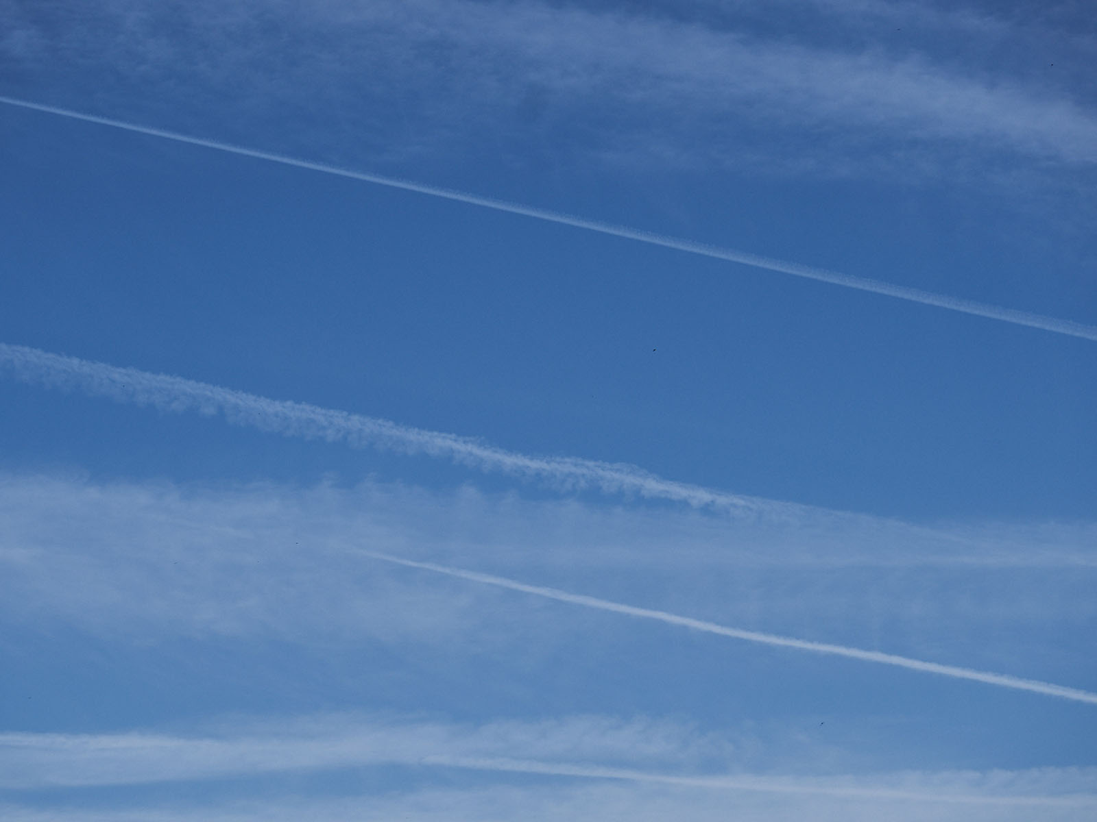 19 06-10%20-%20Under%20the%20Volcano