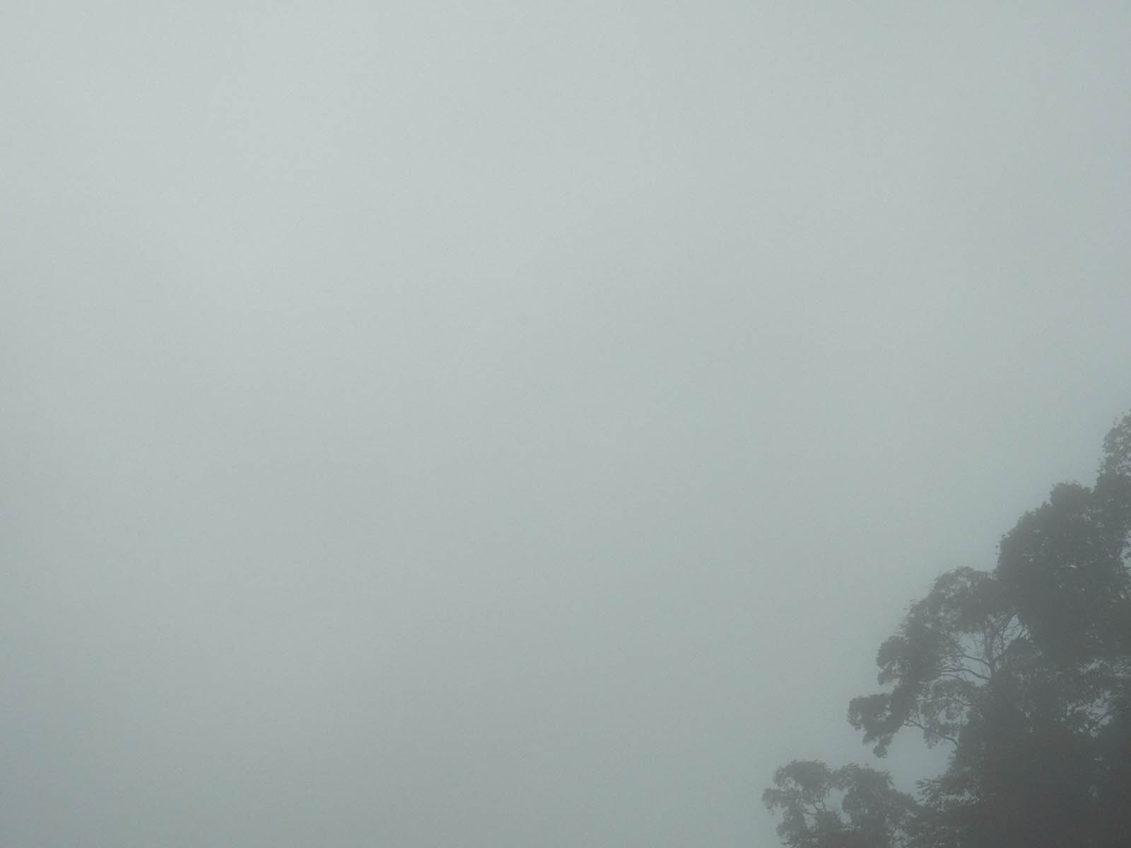 19 06-13%20-%20Grigri