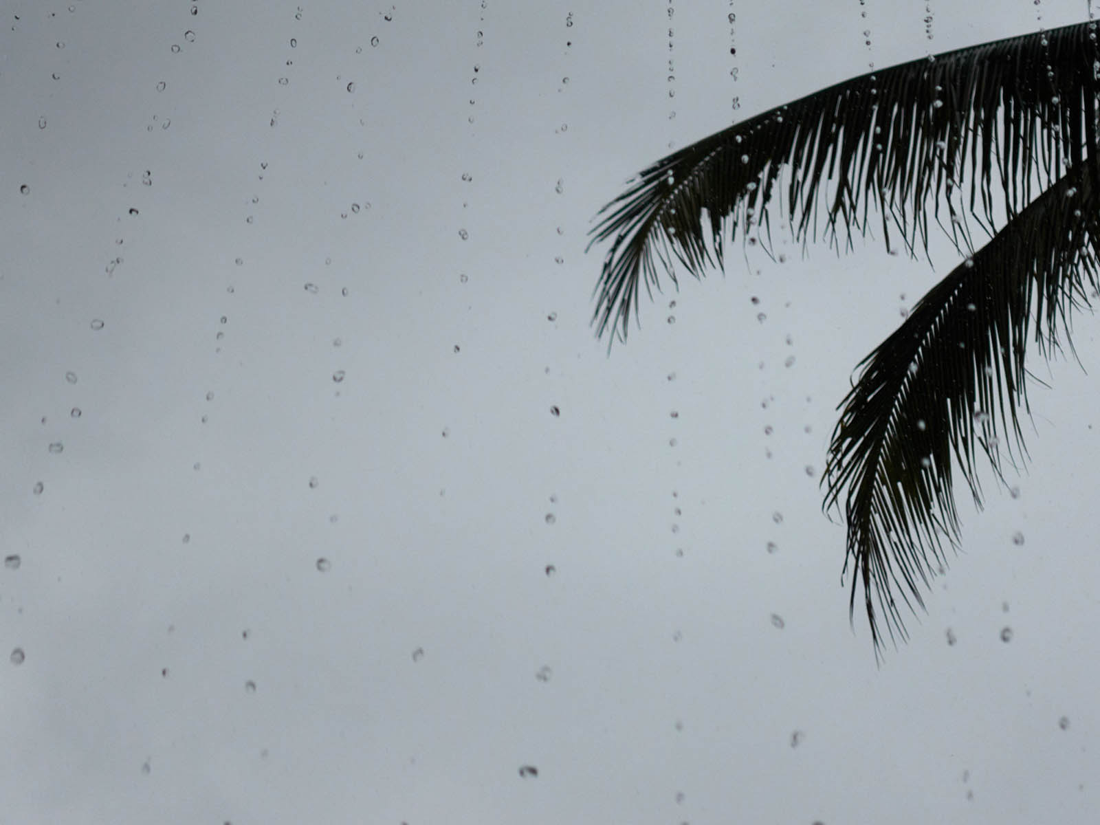 19 06-13%20-%20Grigri