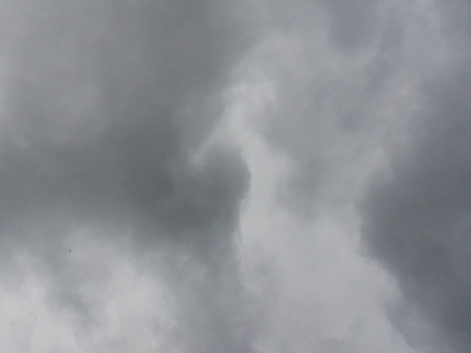 19 06-13%20-%20Grigri