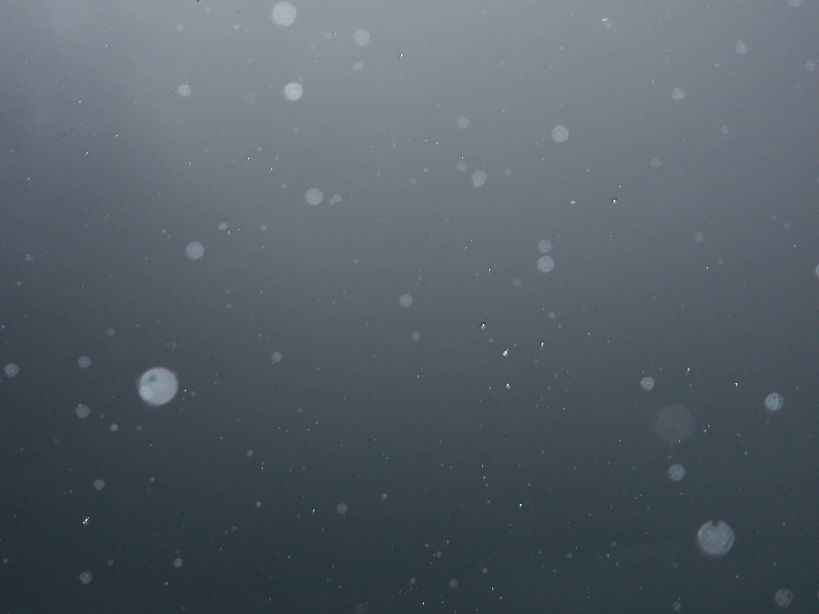 19 06-13%20-%20Grigri