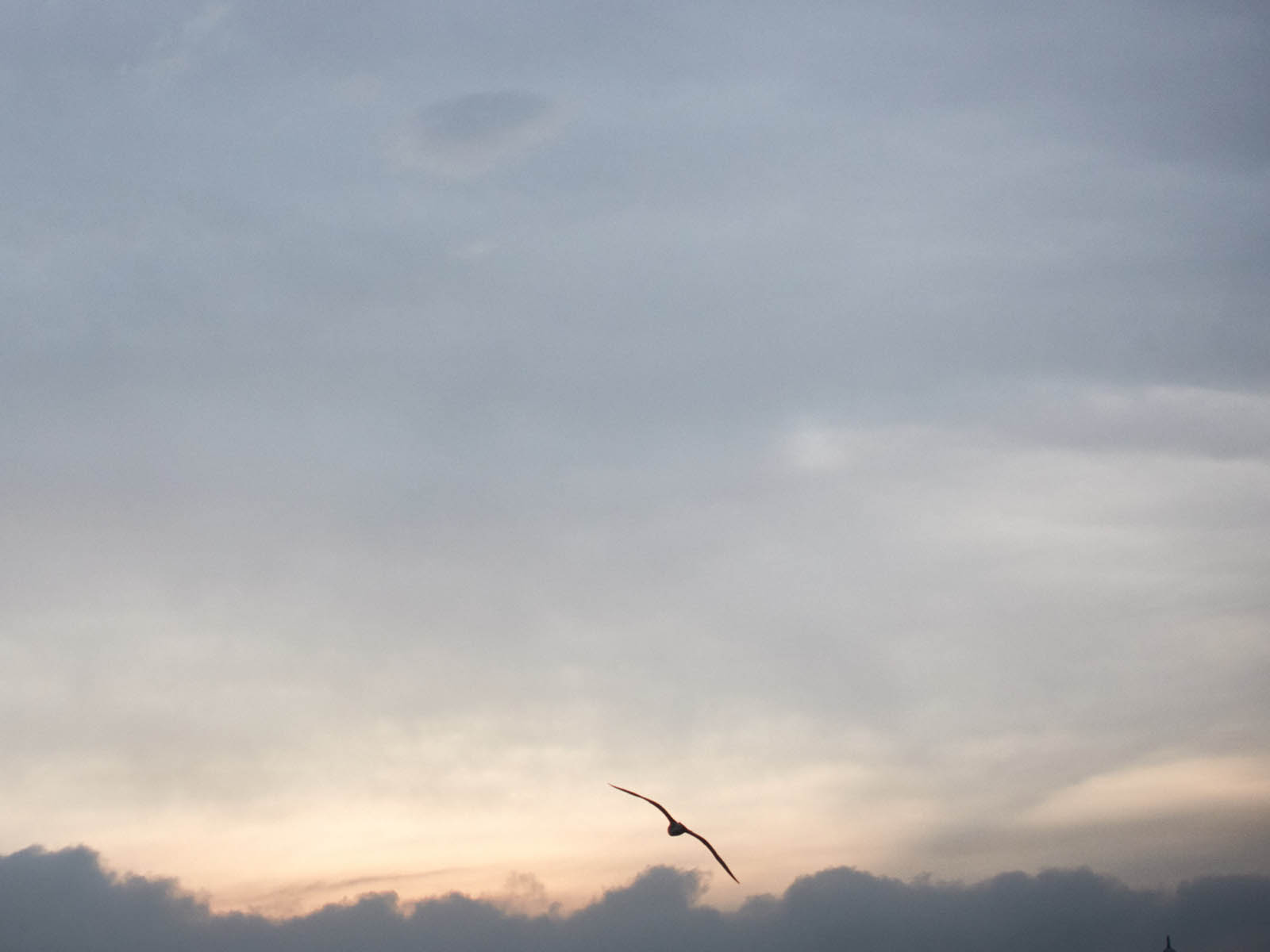 19 06-13%20-%20Grigri