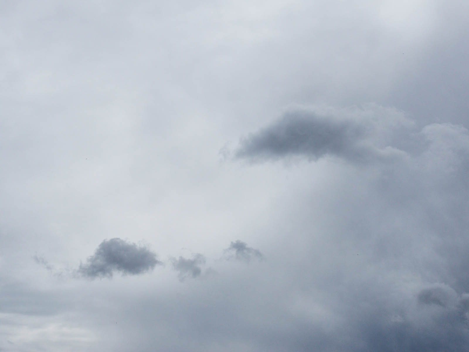 19 06-13%20-%20Grigri