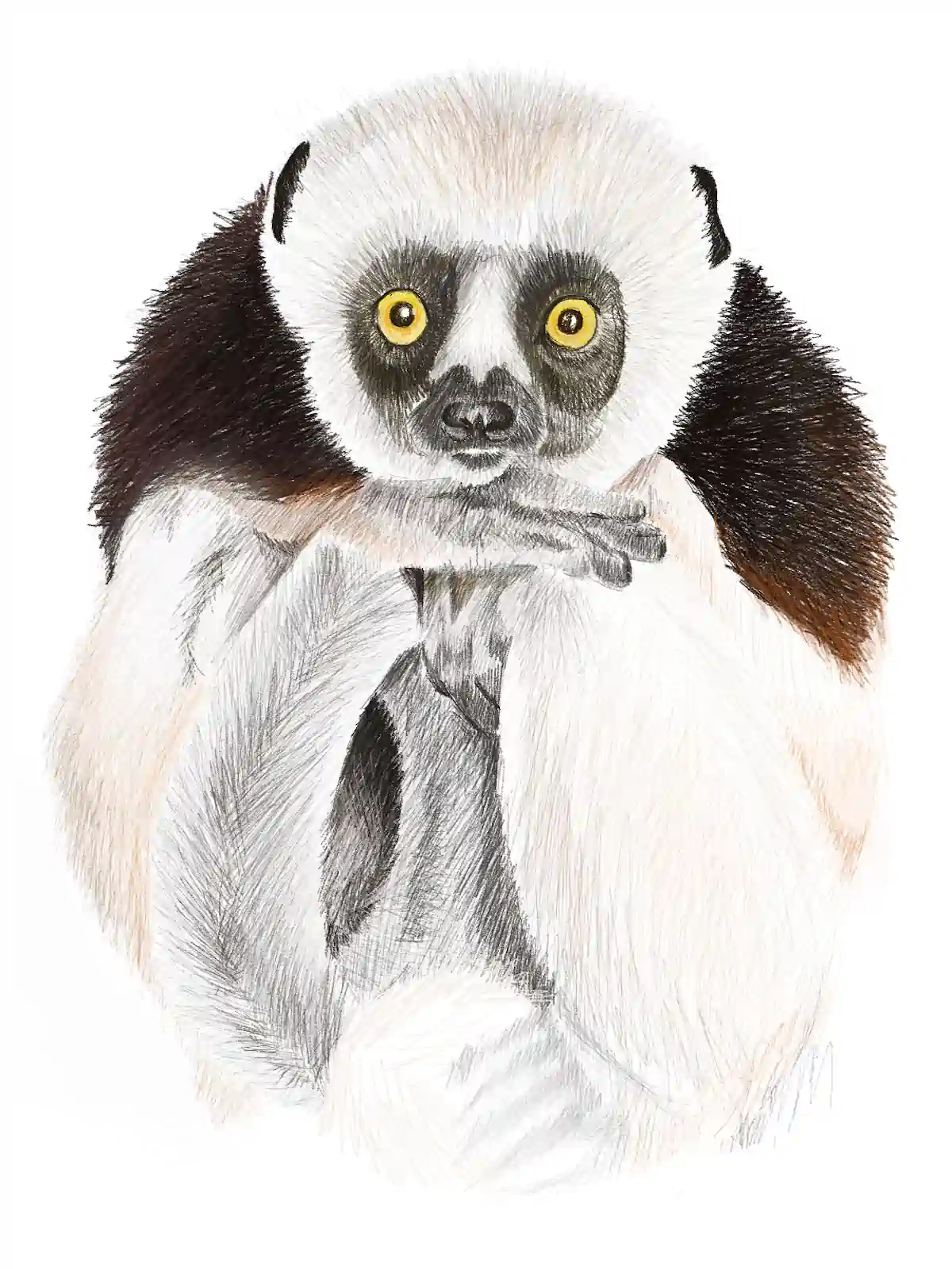 artists_2_sketches_%27029%27