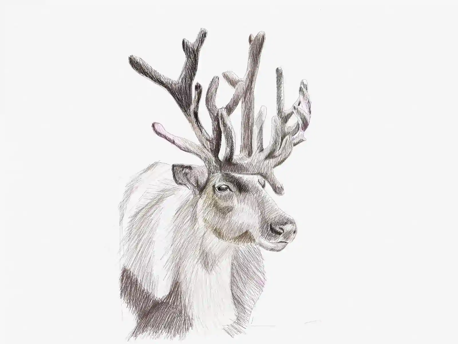 artists_sketches_%27091%27