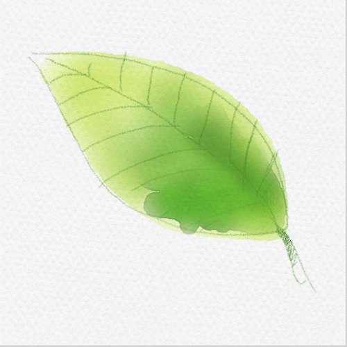 drawingcarl_tools_round